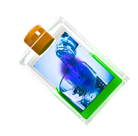 bottle