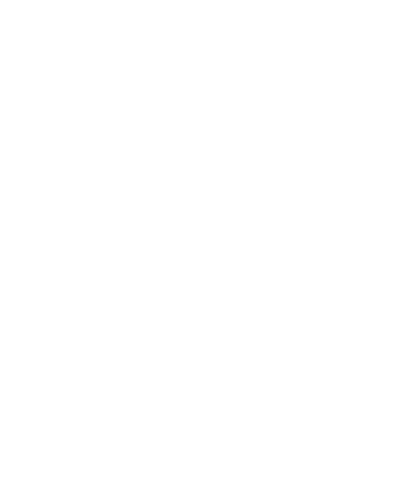 belle